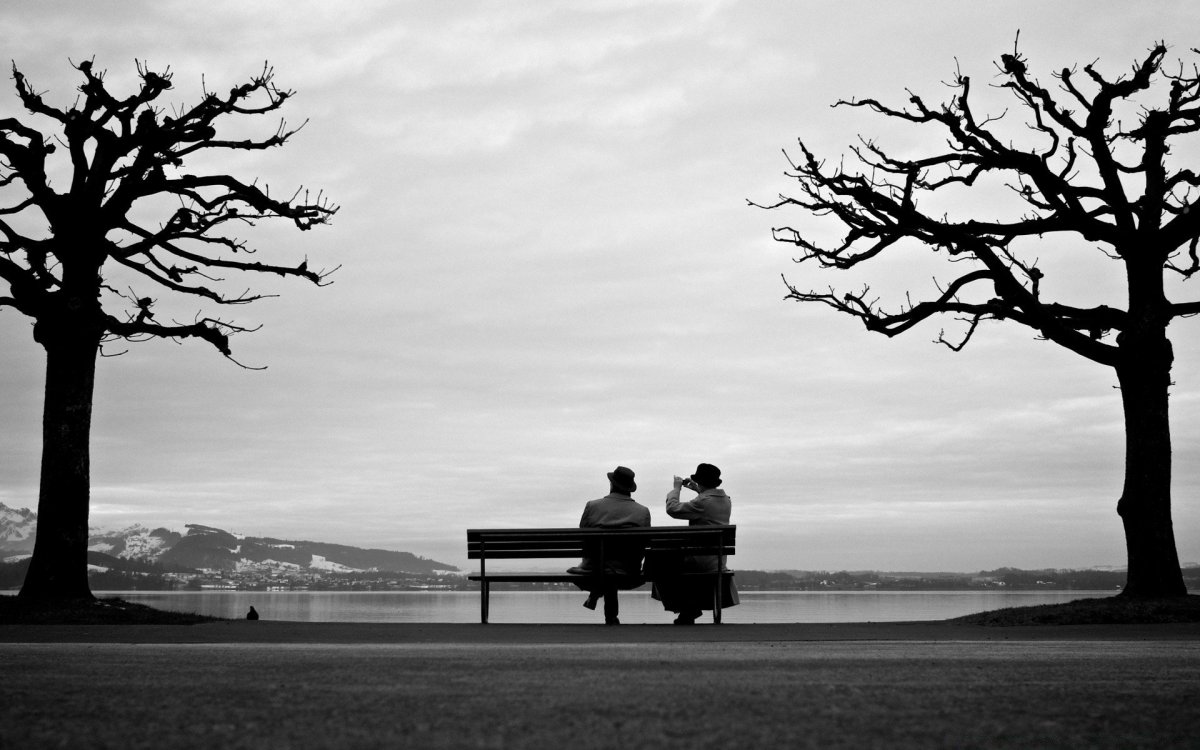 Силуэт дерева