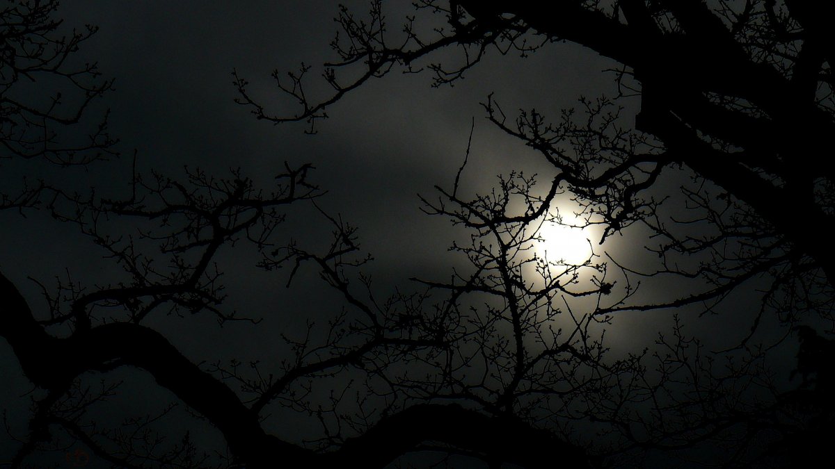 Красивые темные обои