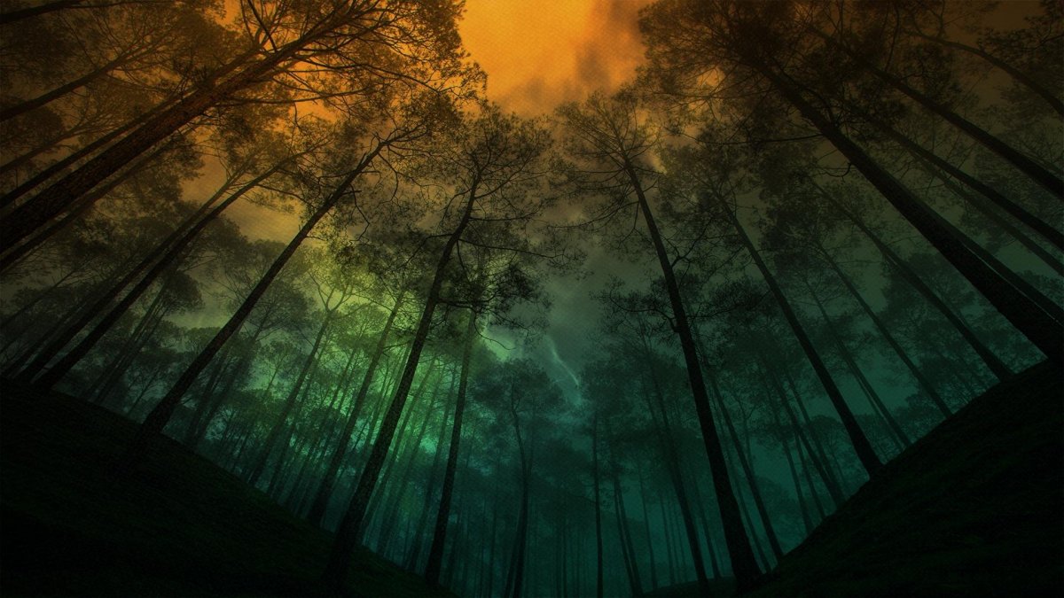 Лес абстракция