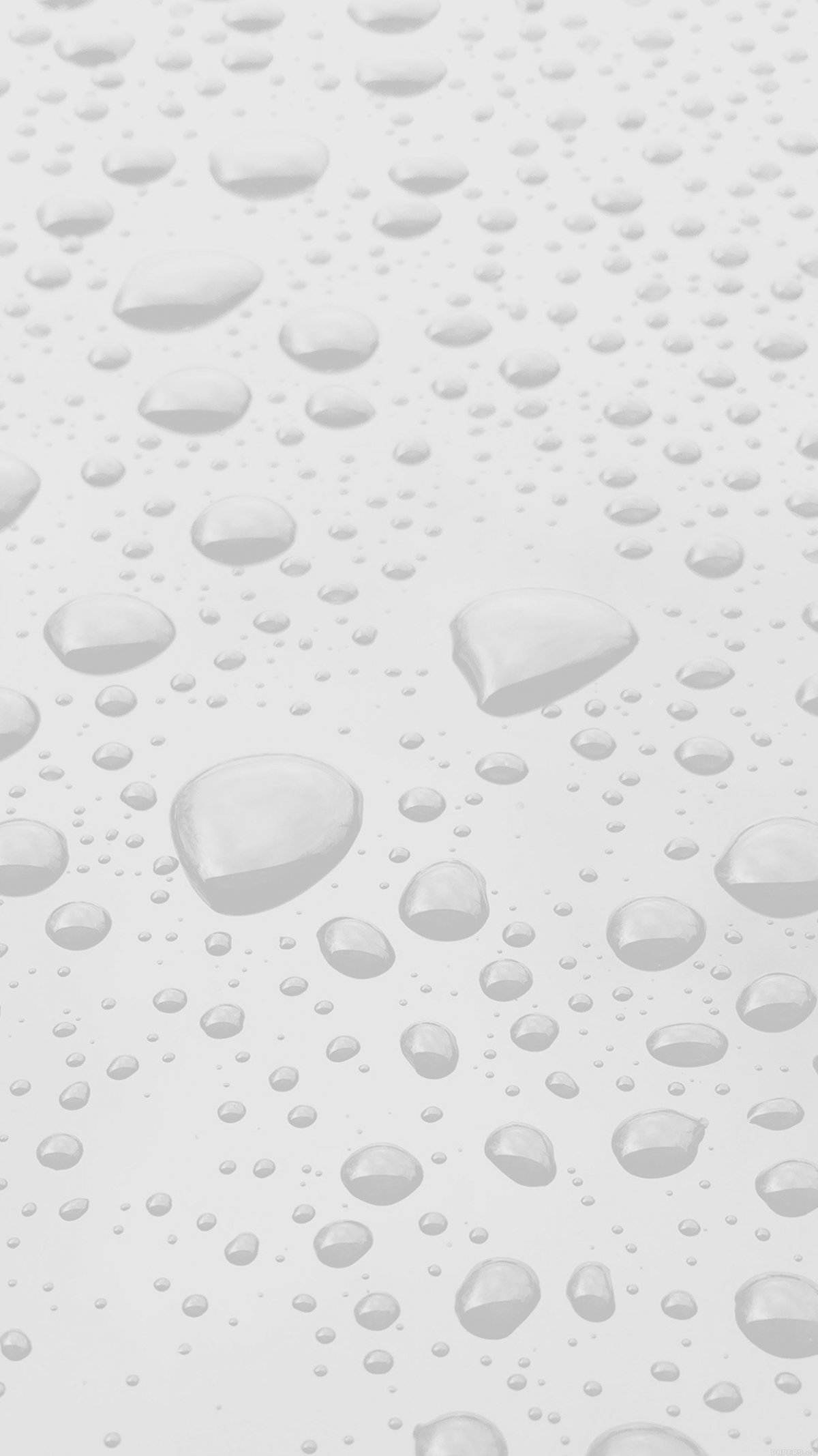 Белая заставка