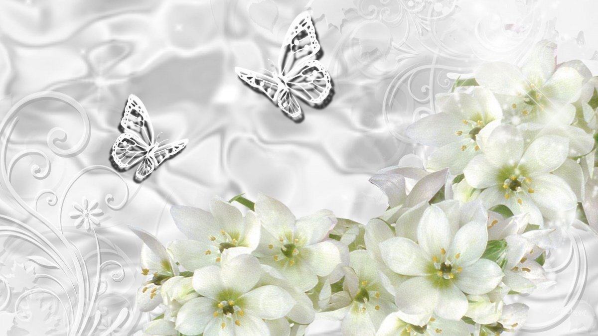 Фон для свадебного альбома