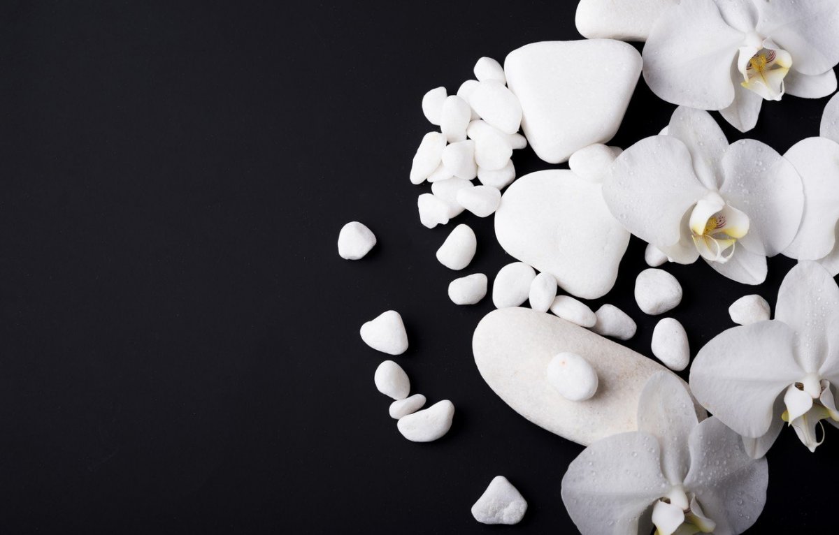 Орхидея на черном фоне