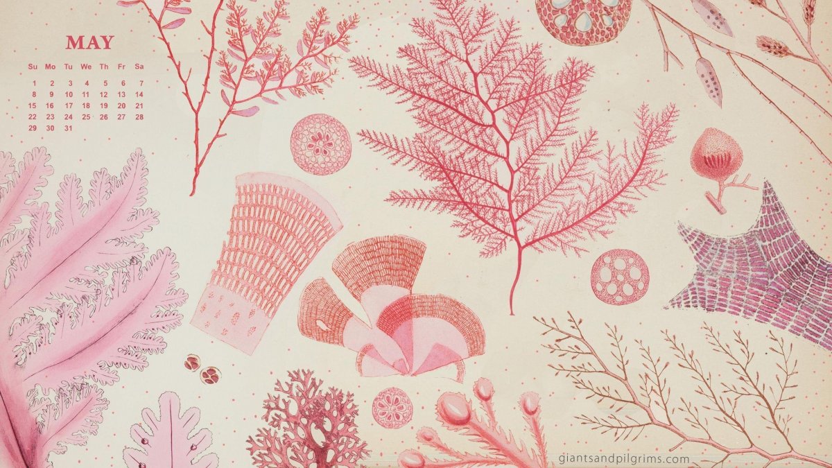 Стильный фон для календаря