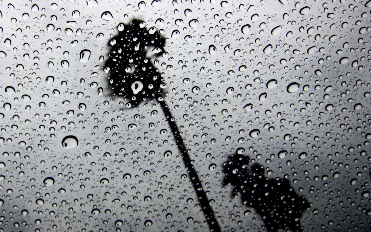 Капли на стекле черно-белое