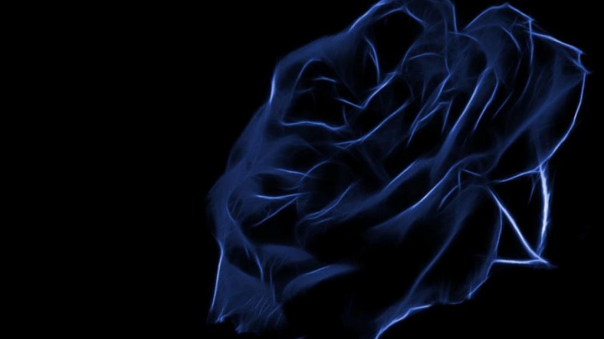 Черно синий цвет