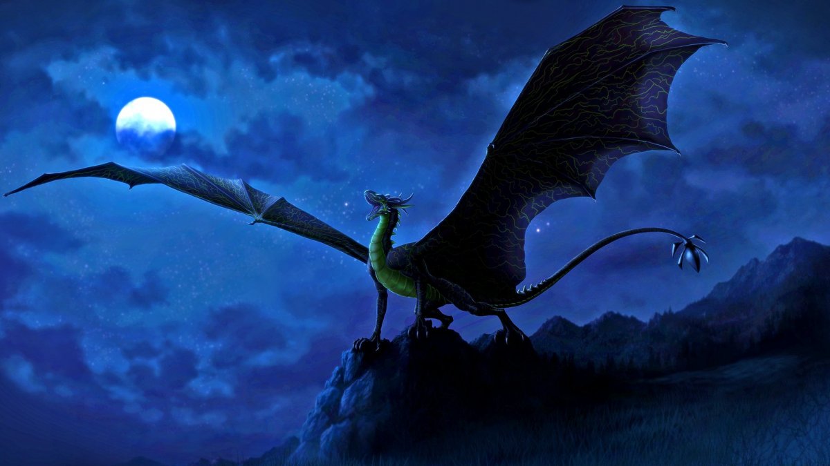 Ночной дракон