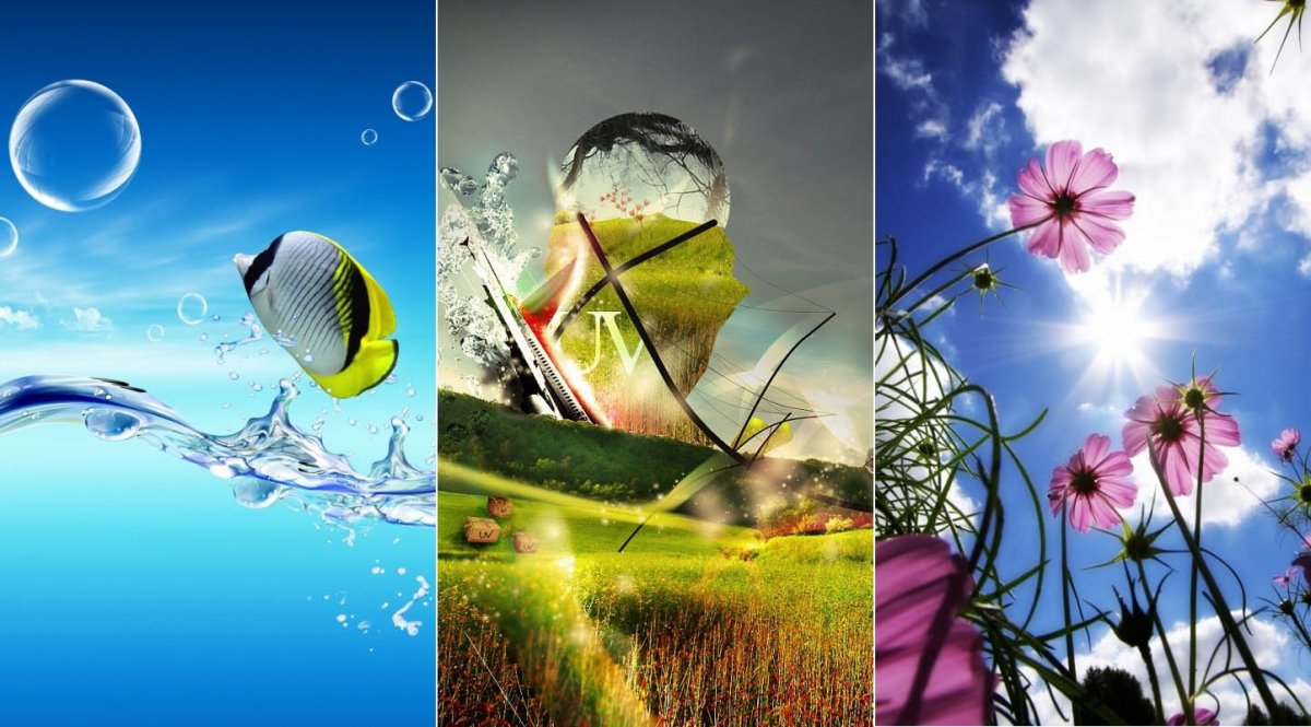 Цветение красной Сакуры