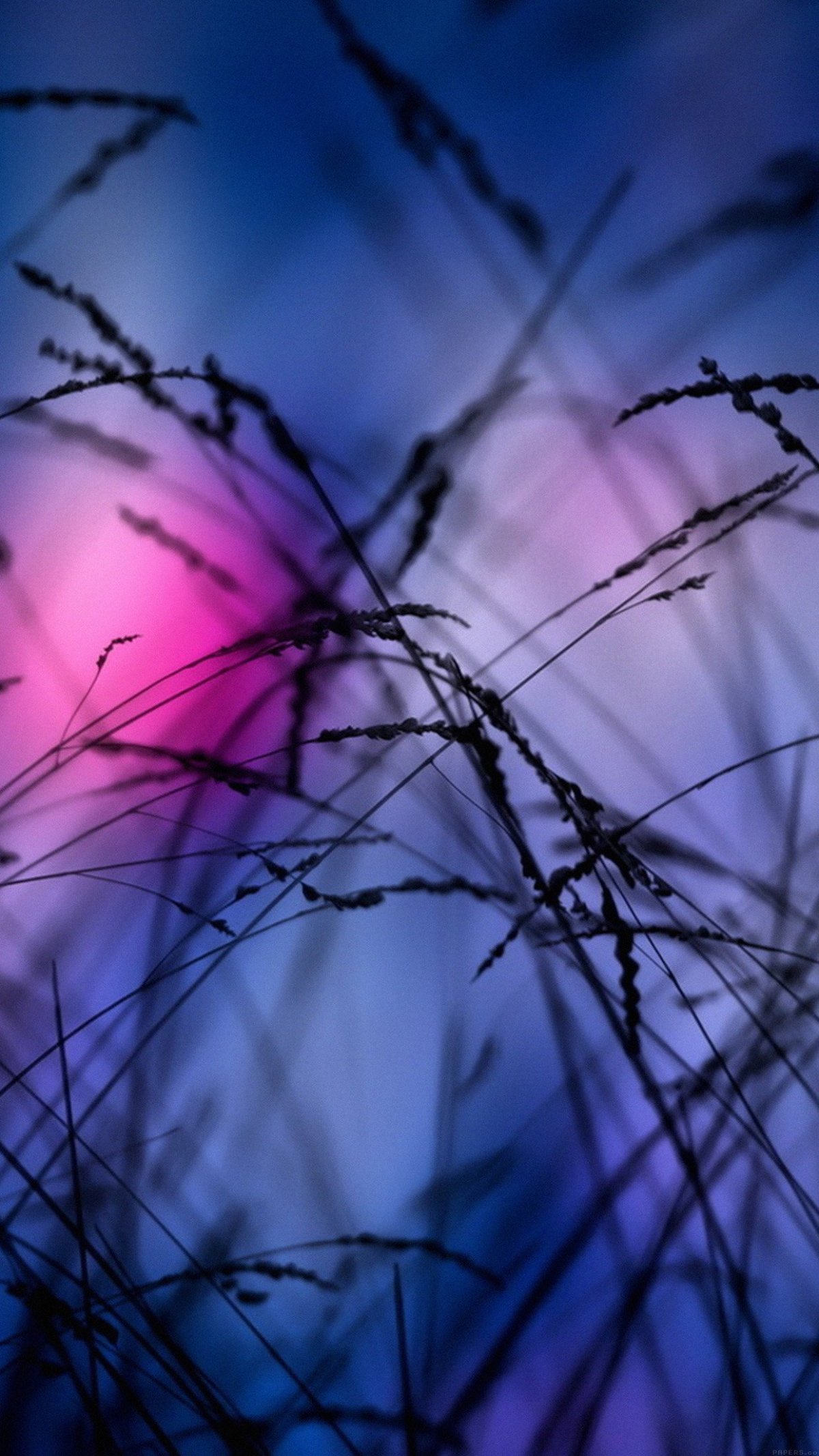 Вертикальные высокого качества