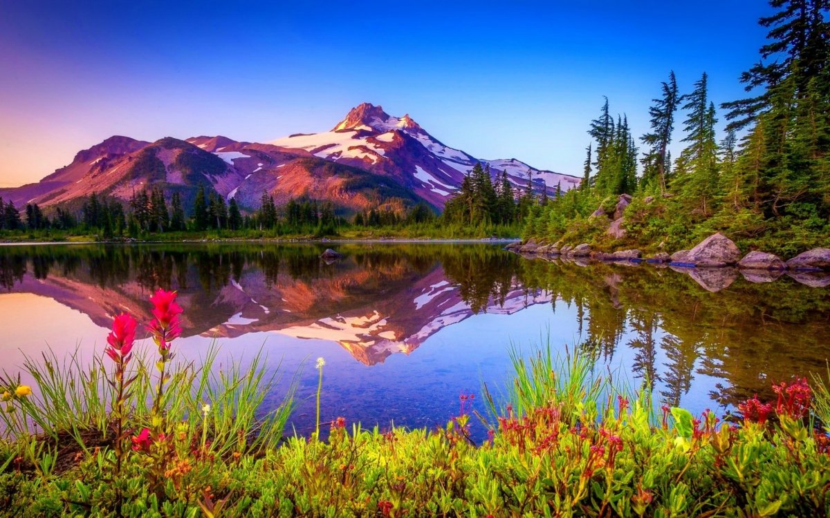 Горы озеро лес цветы