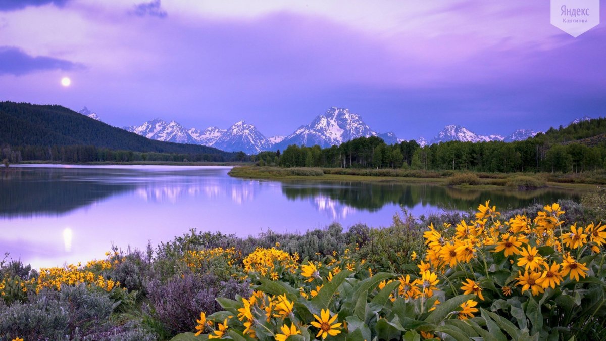Альпийские Луга новая Зеландия