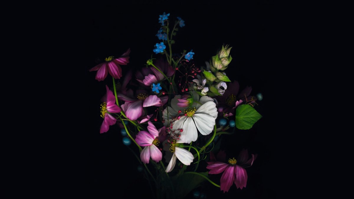 Красивый черный цвет