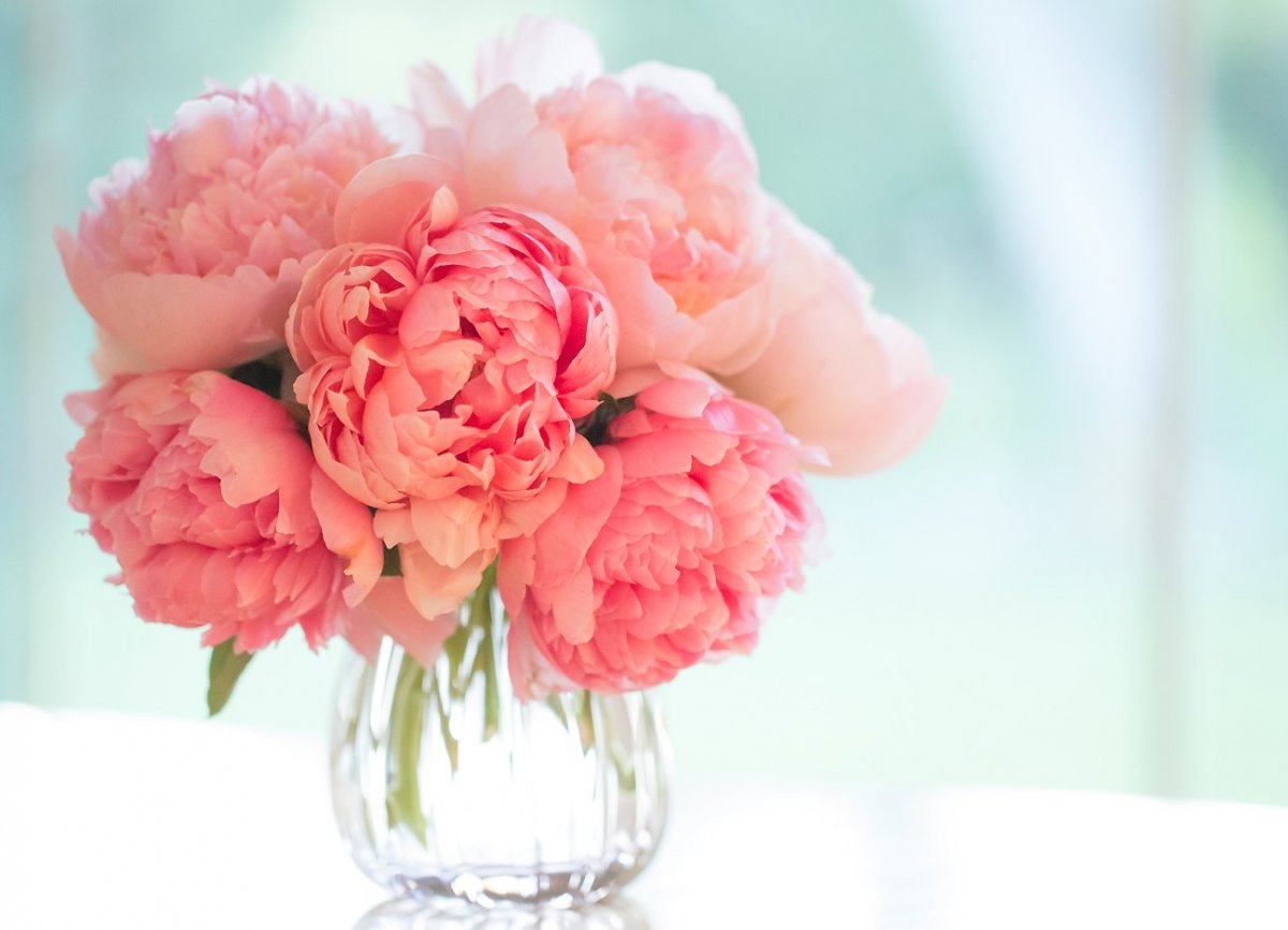 Пионы букет красивый