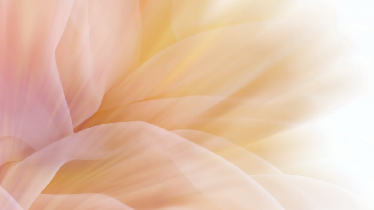 Нежный фон