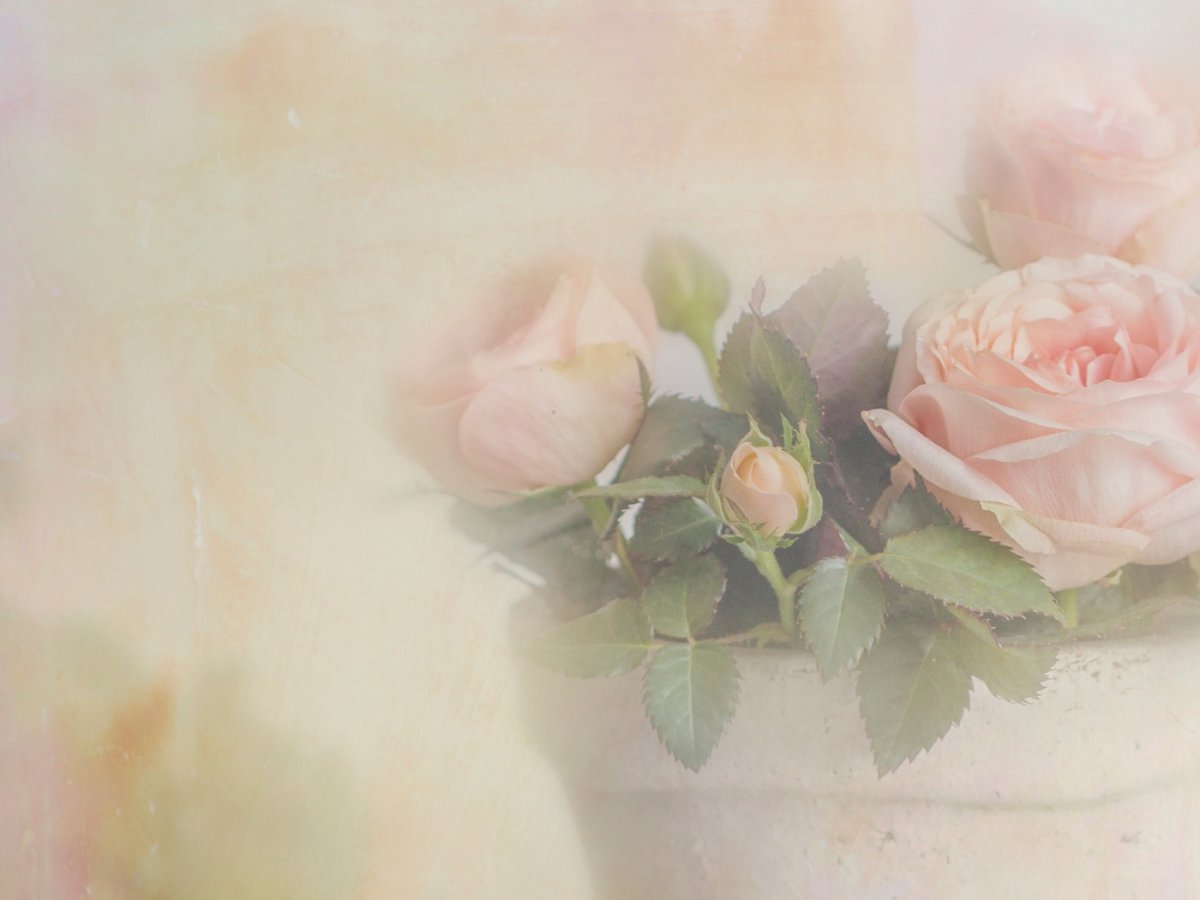 Нежные цветы в пастельных тонах