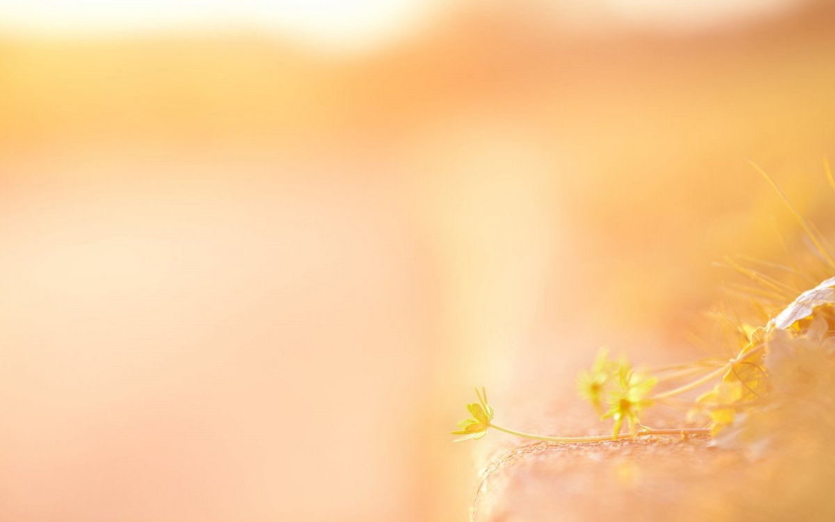 Красивый фон для презентации