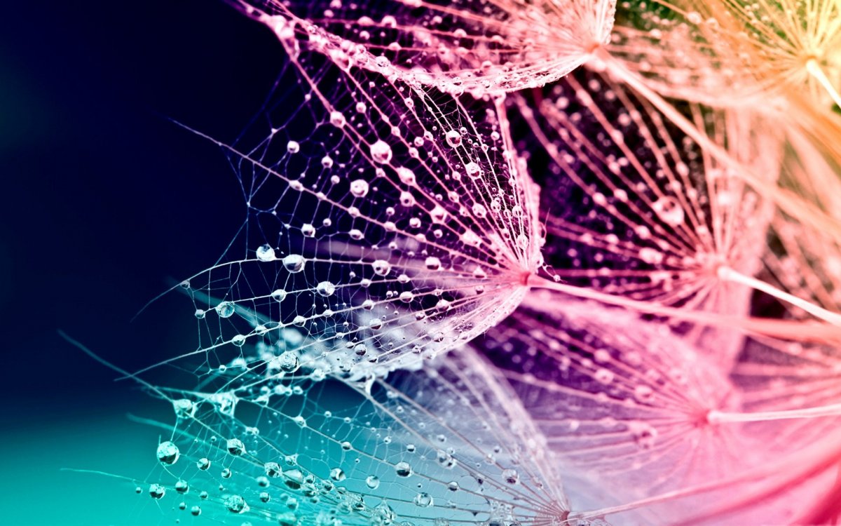 Стильные заставки на телефон