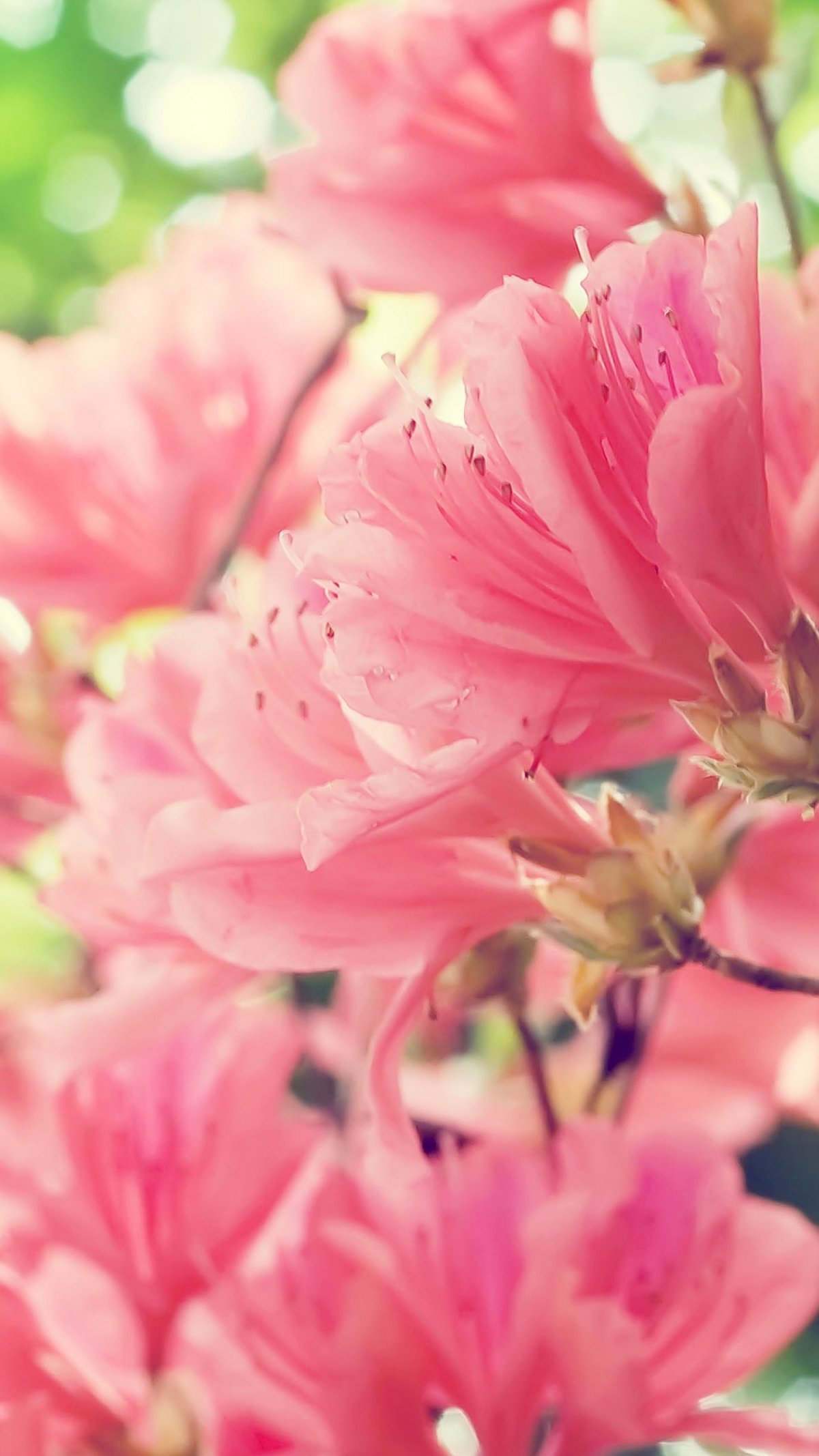 Необычный фон