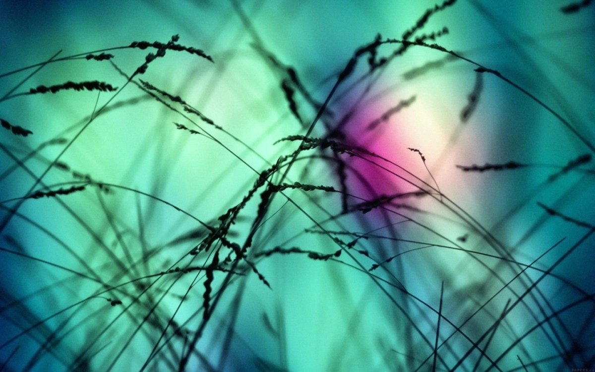 Неоновое небо