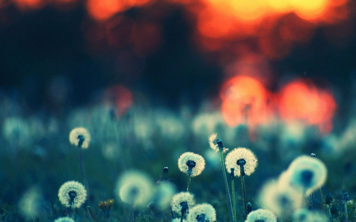 Love yourself BTS сердце