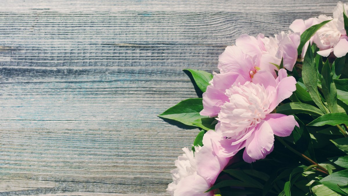 Цветы горизонтально