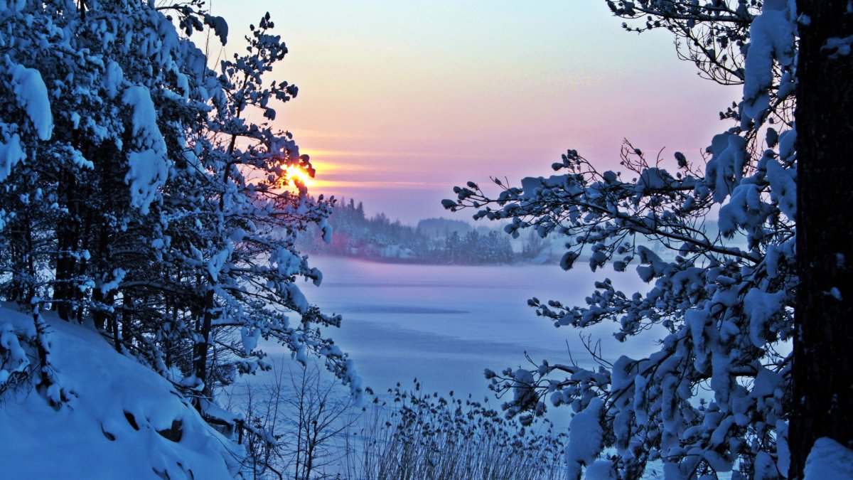 Зимняя природа