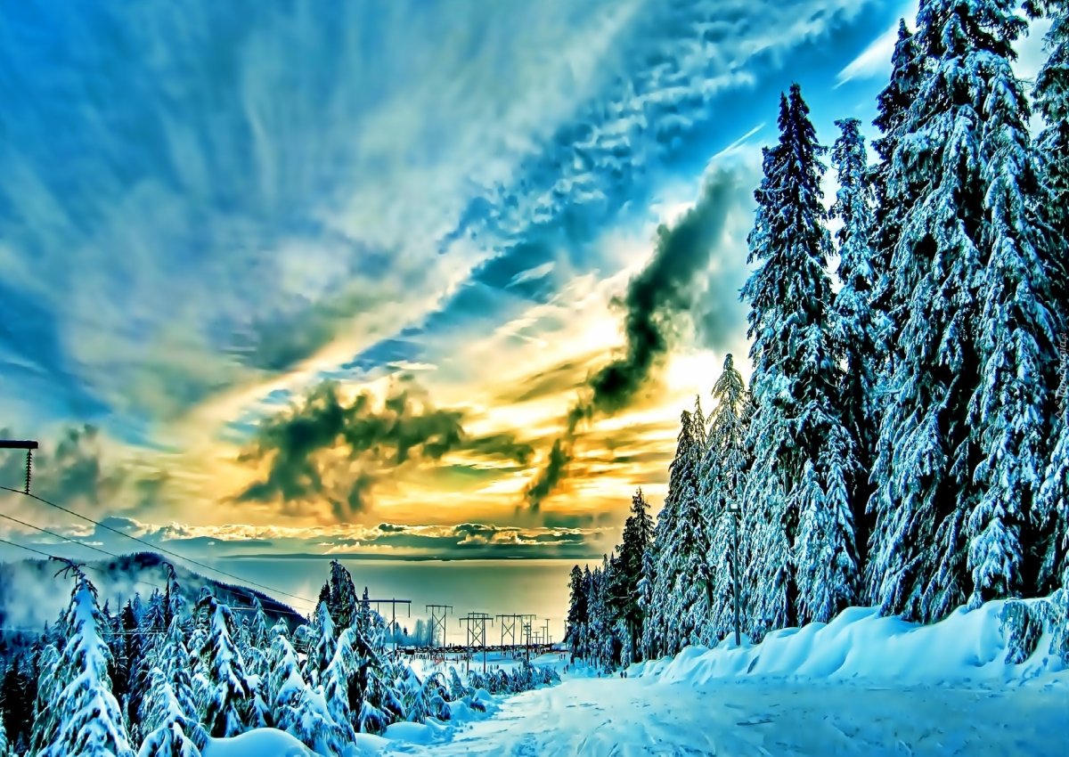 Зимняя природа