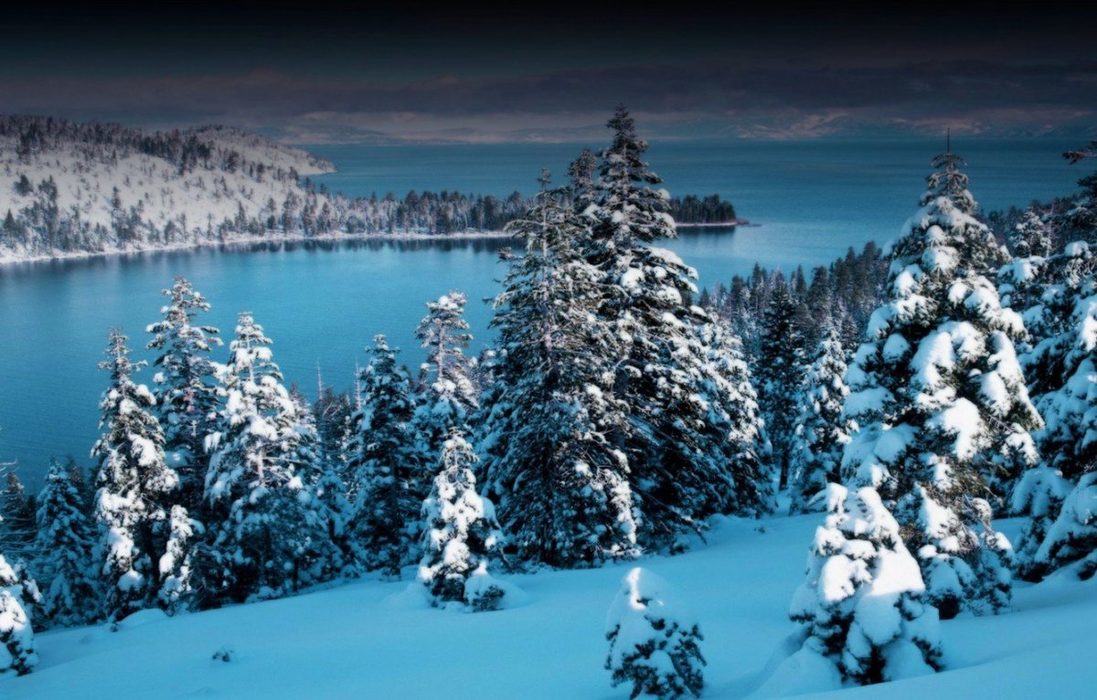 В новогоднем лесу