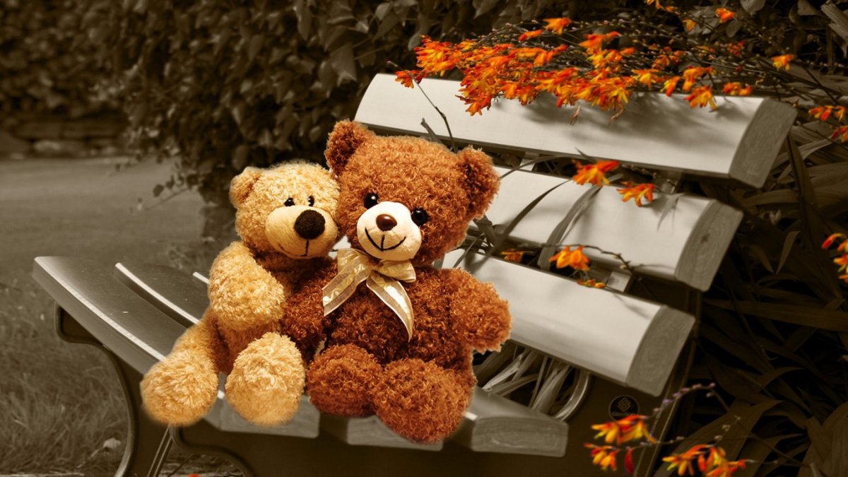 Мишки на рабочий стол