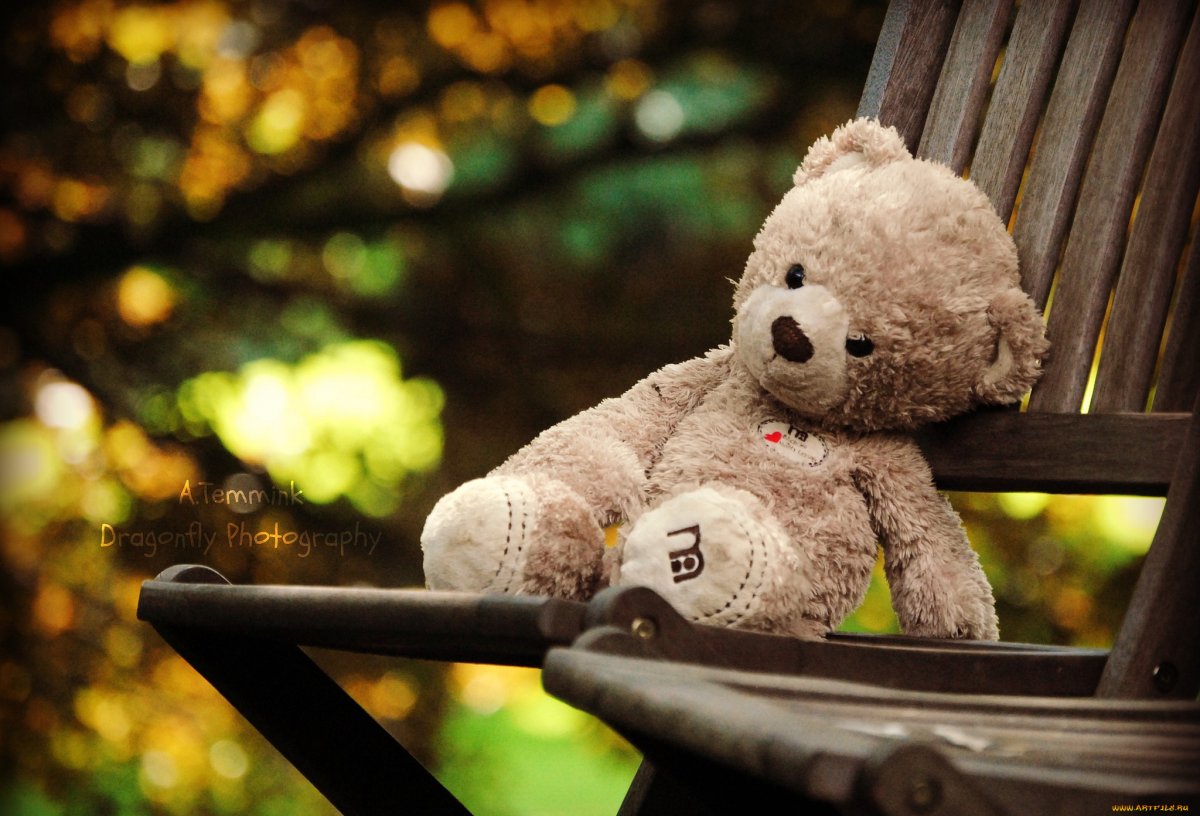 Мишки на рабочий стол