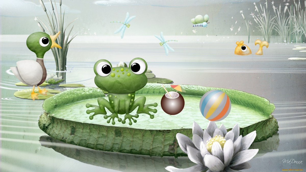Обои с лягушками