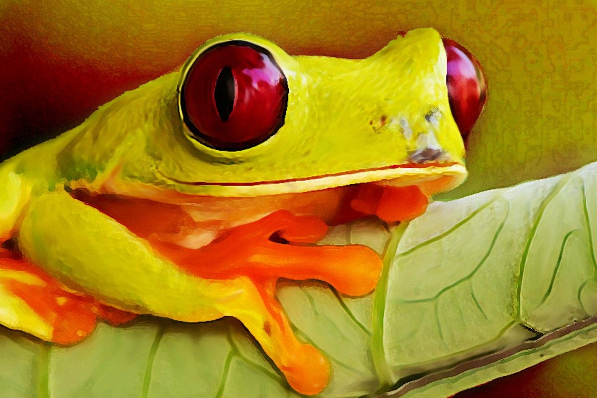 Обои на телефон Минимализм