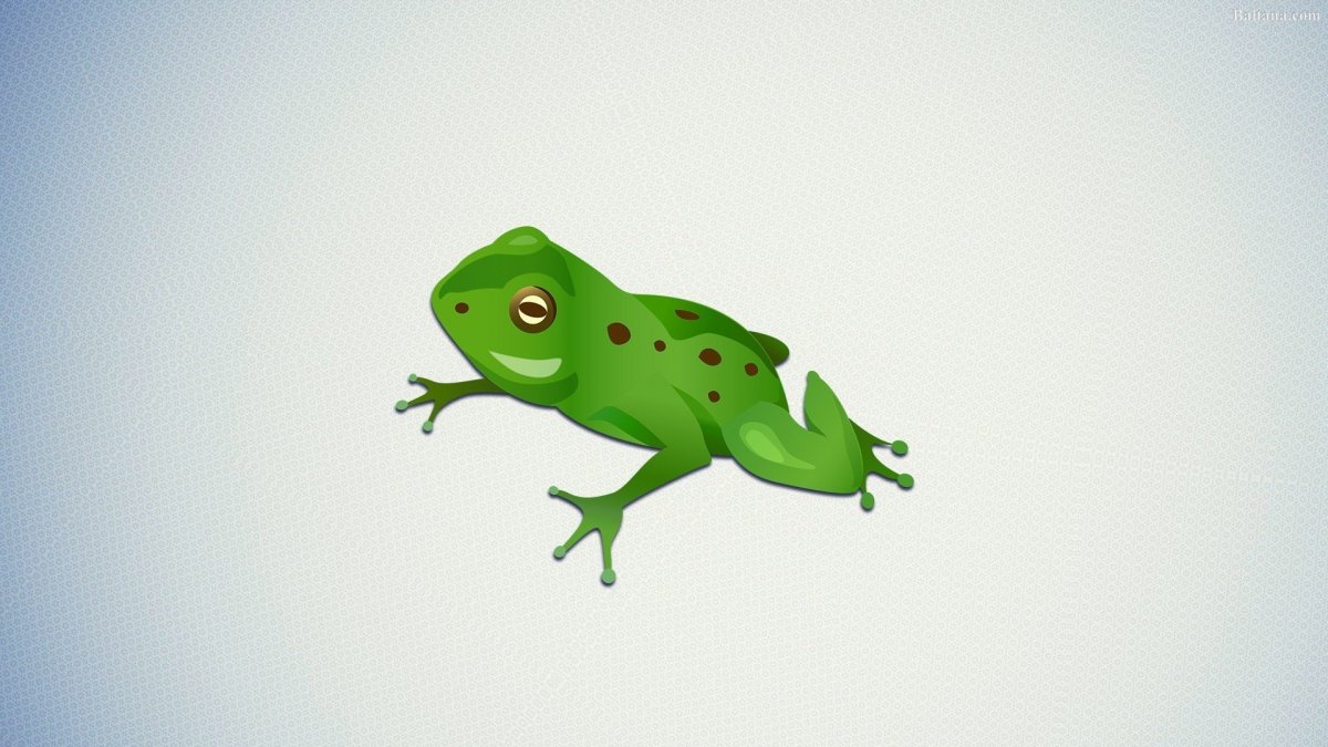 Обои с лягушками