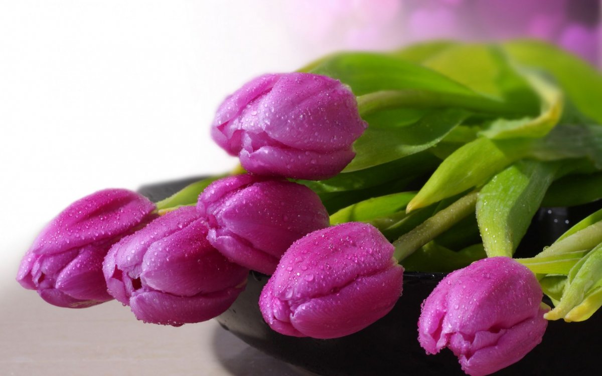 Букет тюльпанов