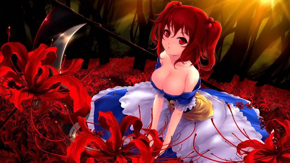 Казуми Эванс