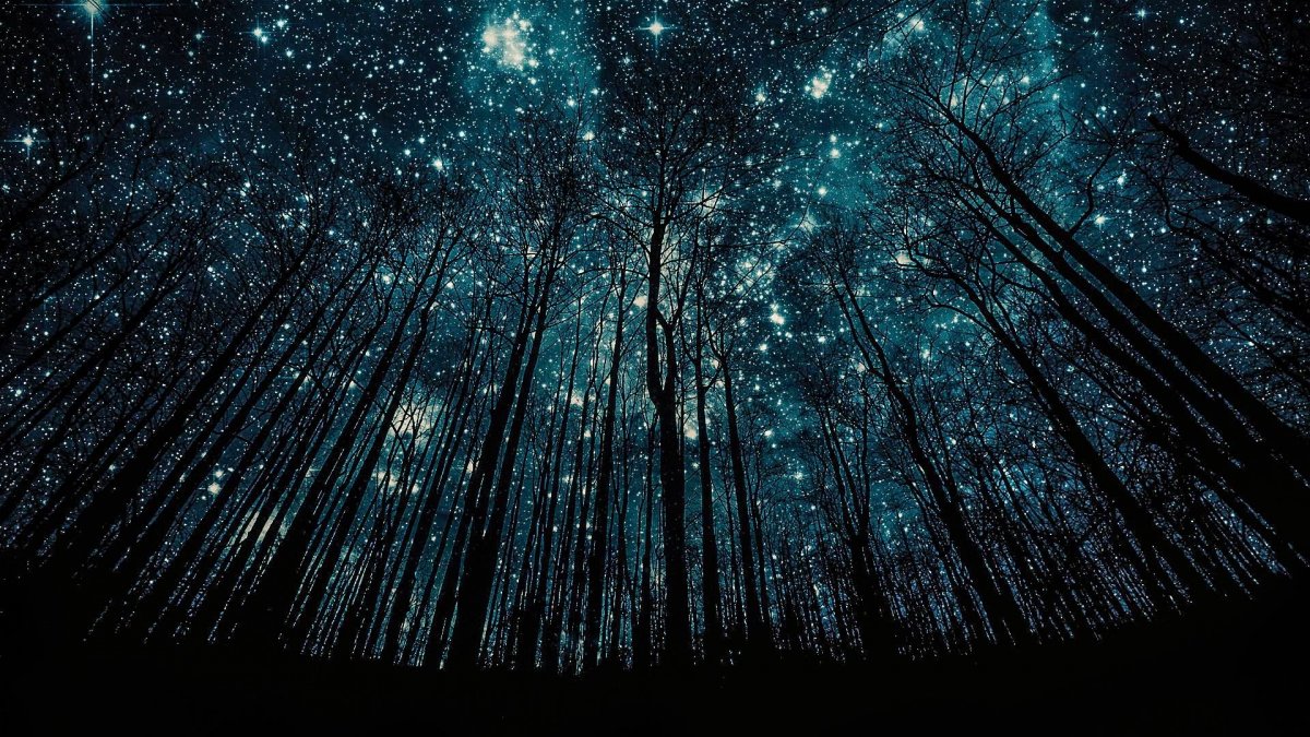 Звездопад Psy