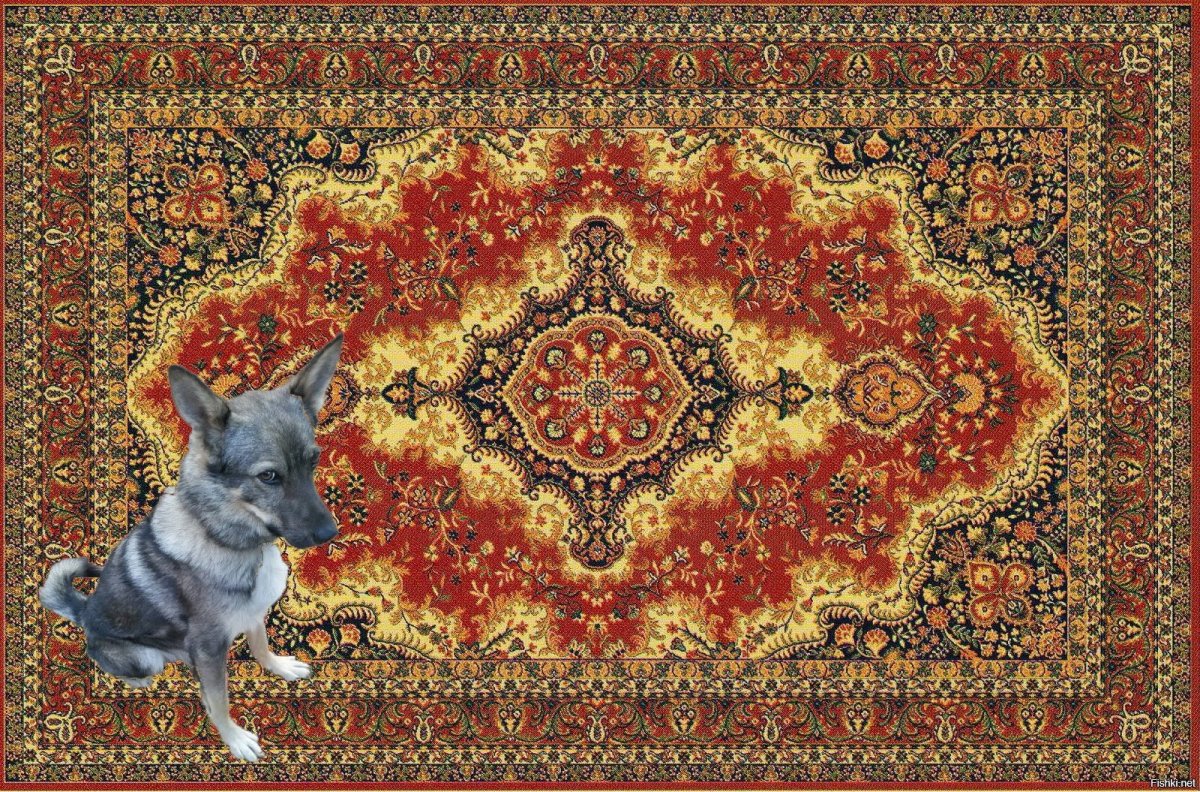 Фон из ковра темный