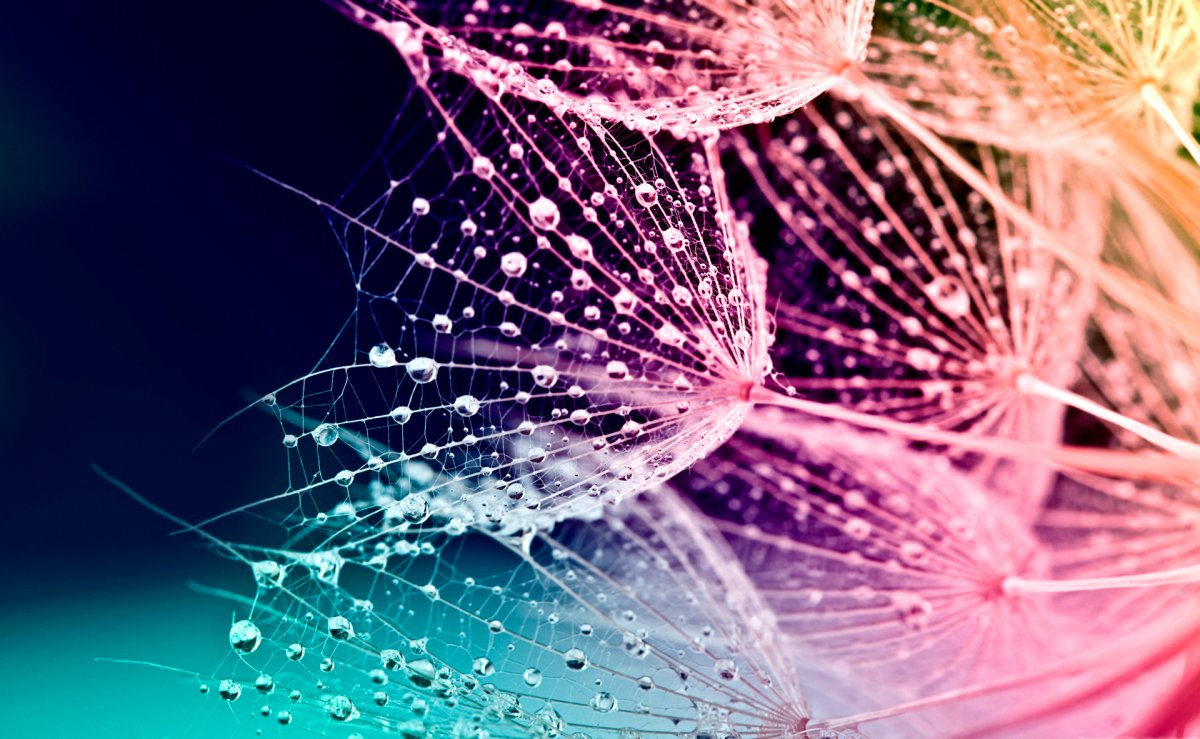 Стильная заставка на экран