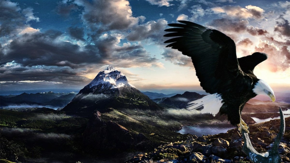 Орел в горах Дагестана