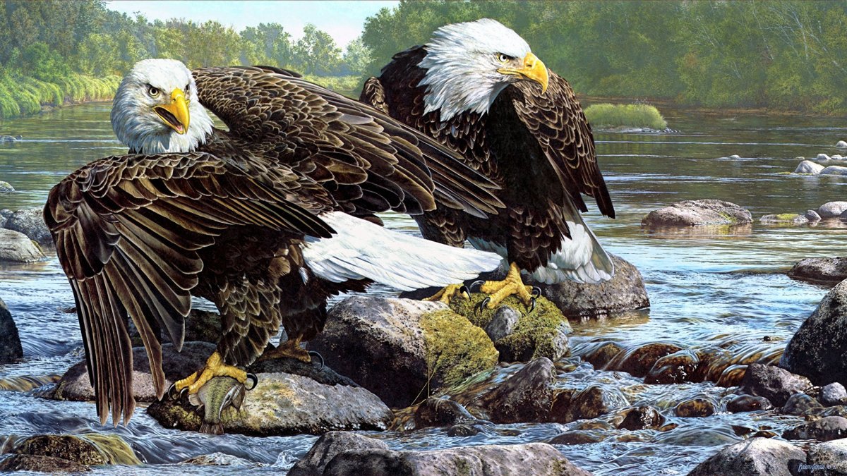 Орел на фоне заката