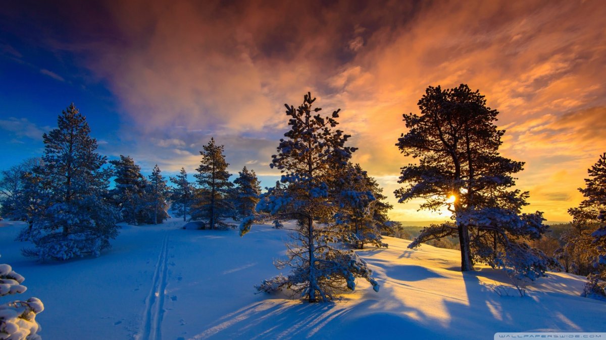 Зимний пейзаж высокого разрешения