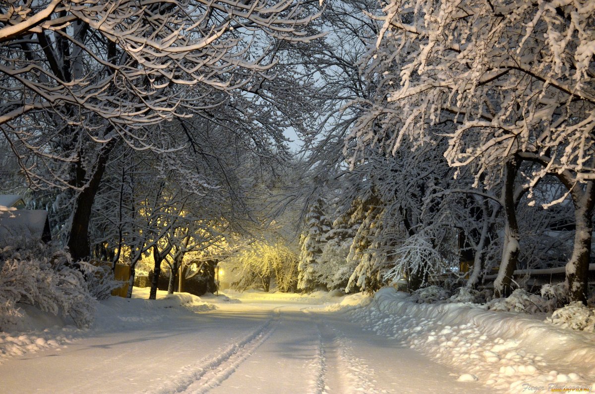 Зимний вечер