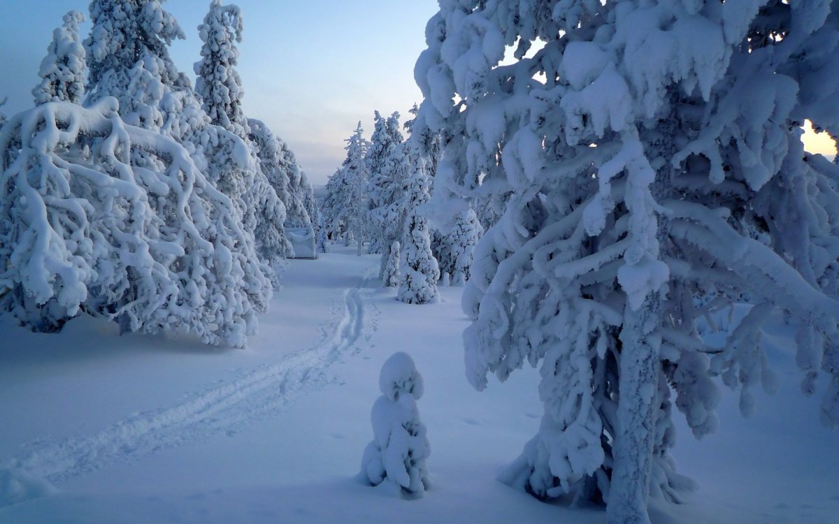 Красивая зима