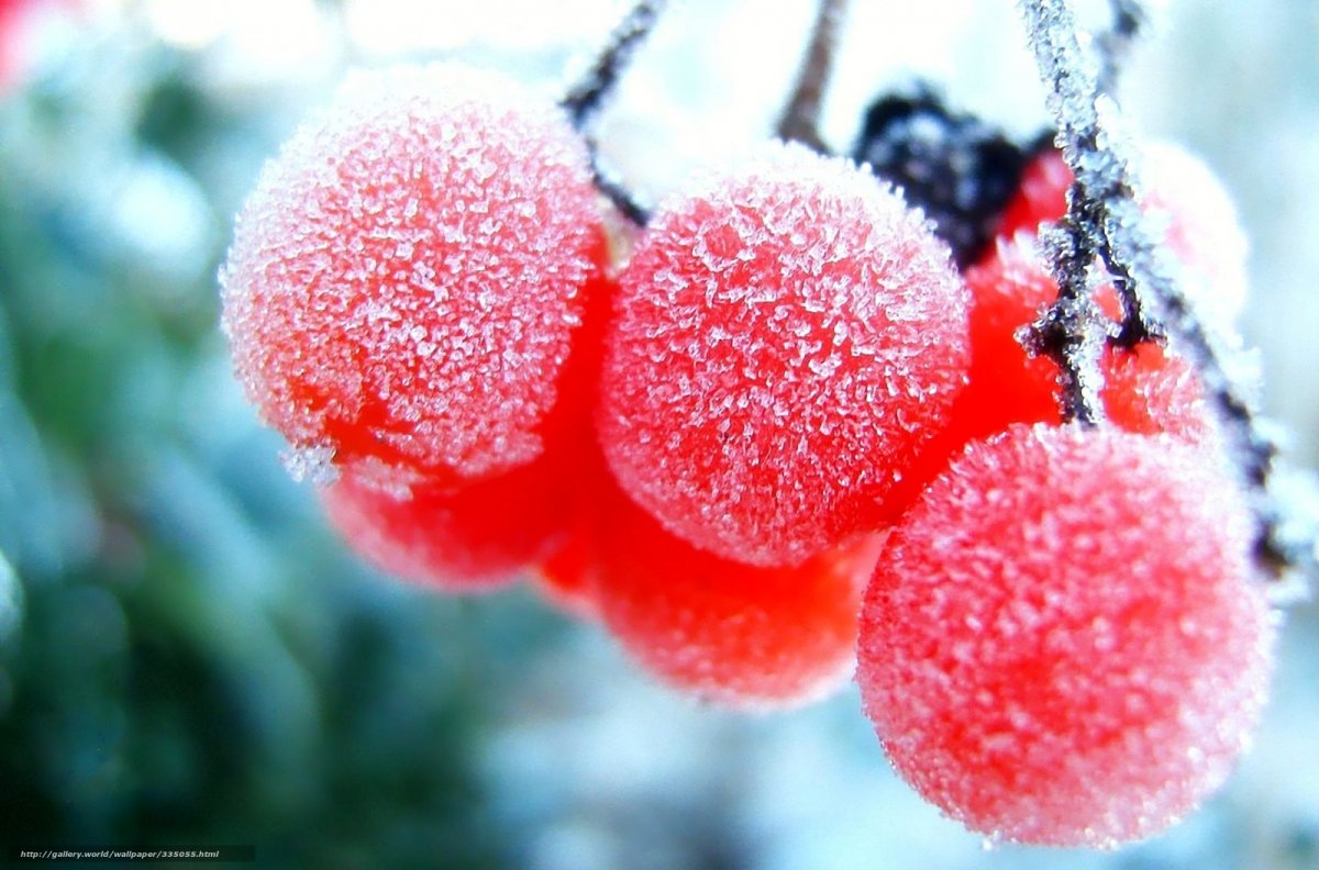 Телевизор JVC lt-24m440 24"