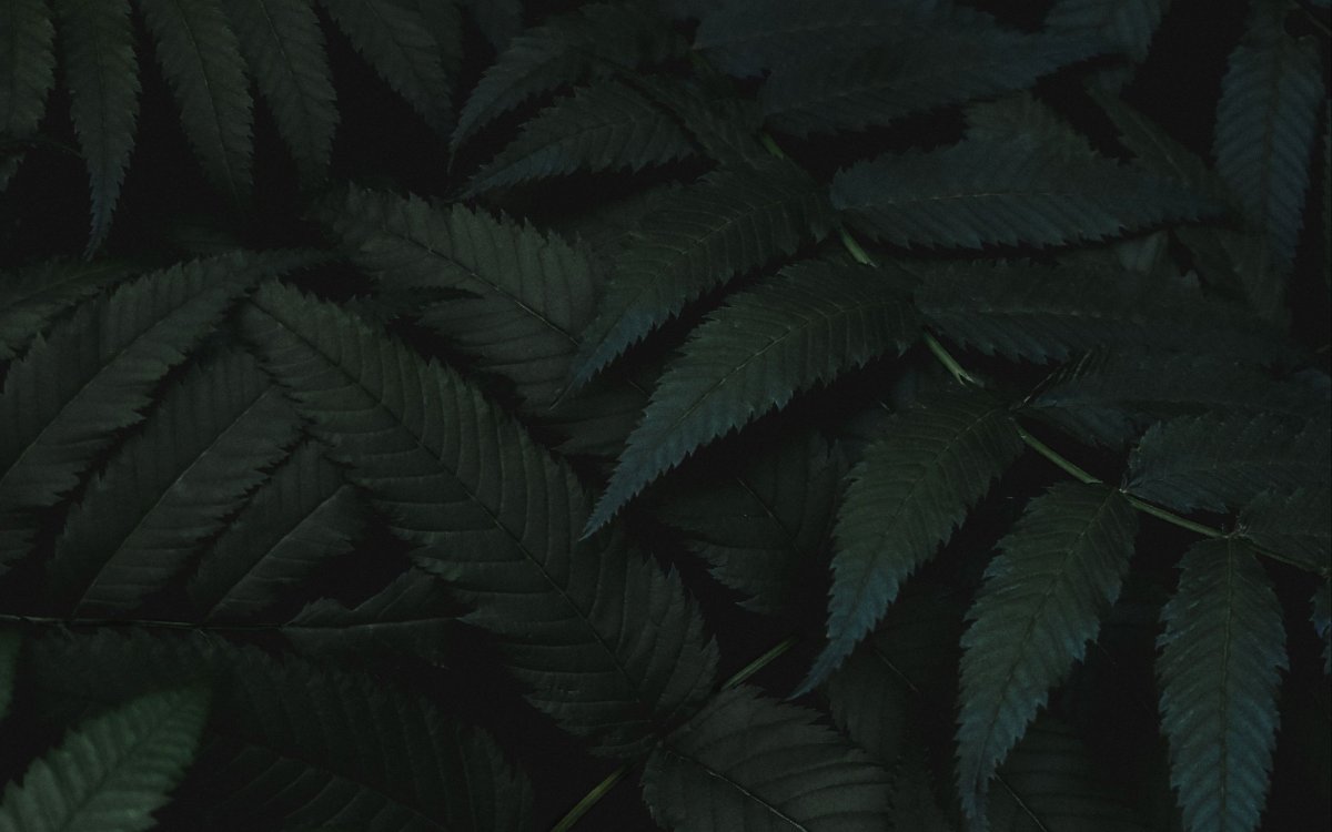 Фиолетовые рисунки