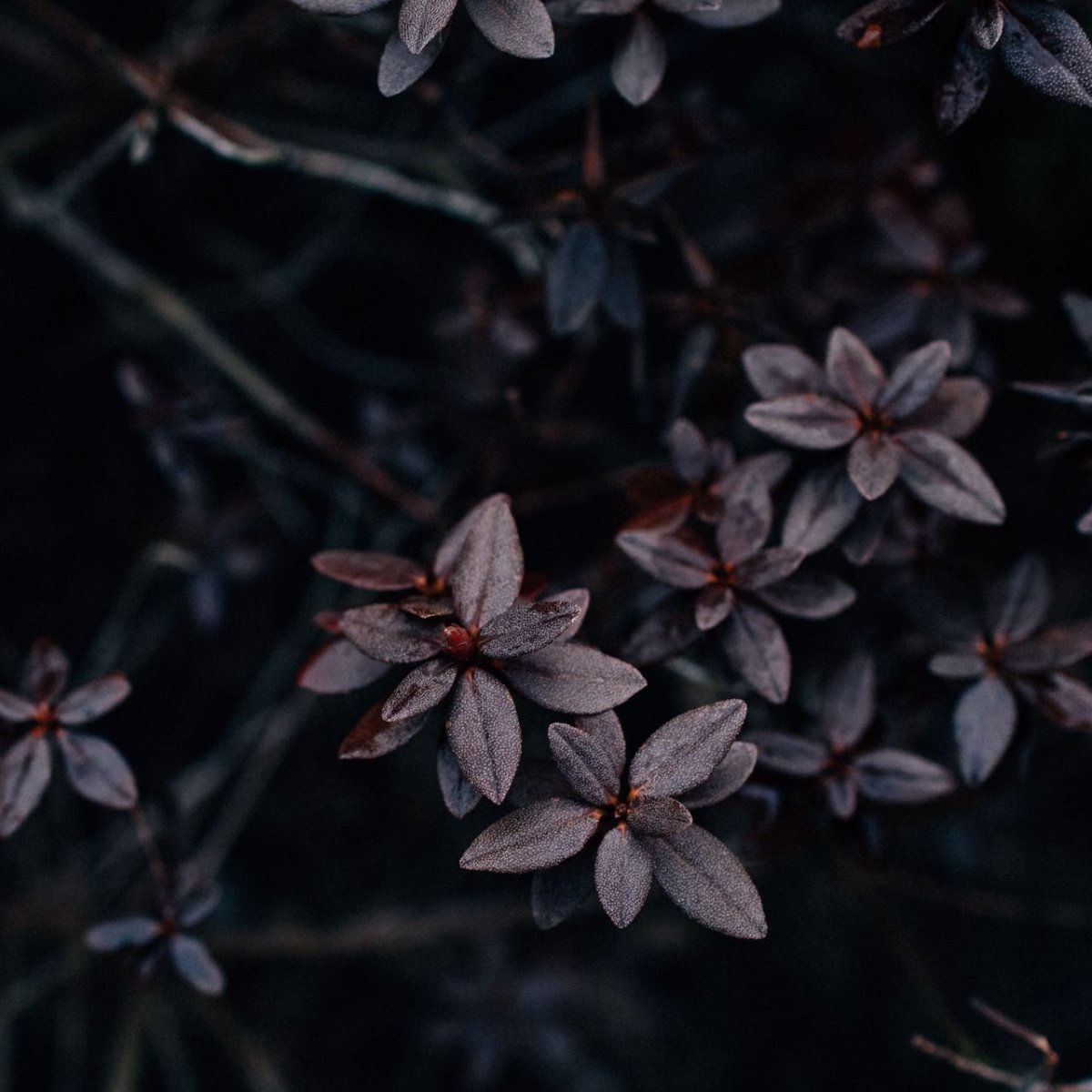 Обои на ноутбук Грандж