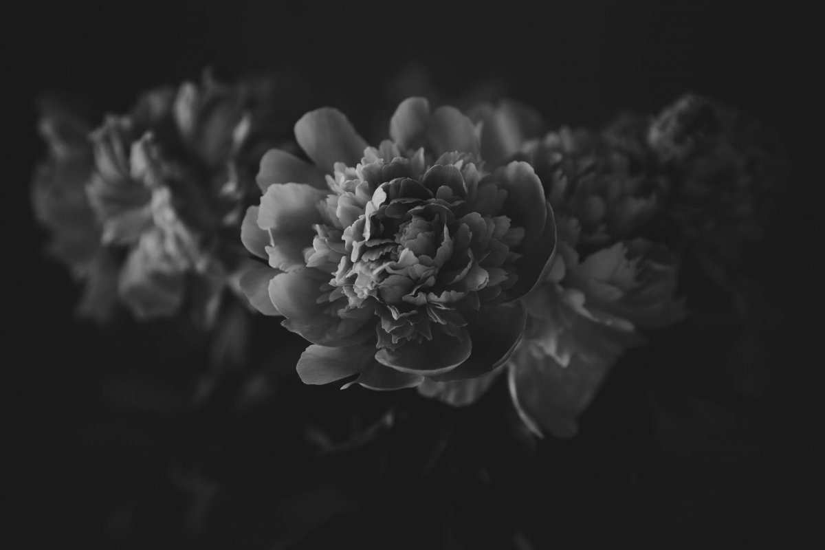 Чёрно-белая Эстетика