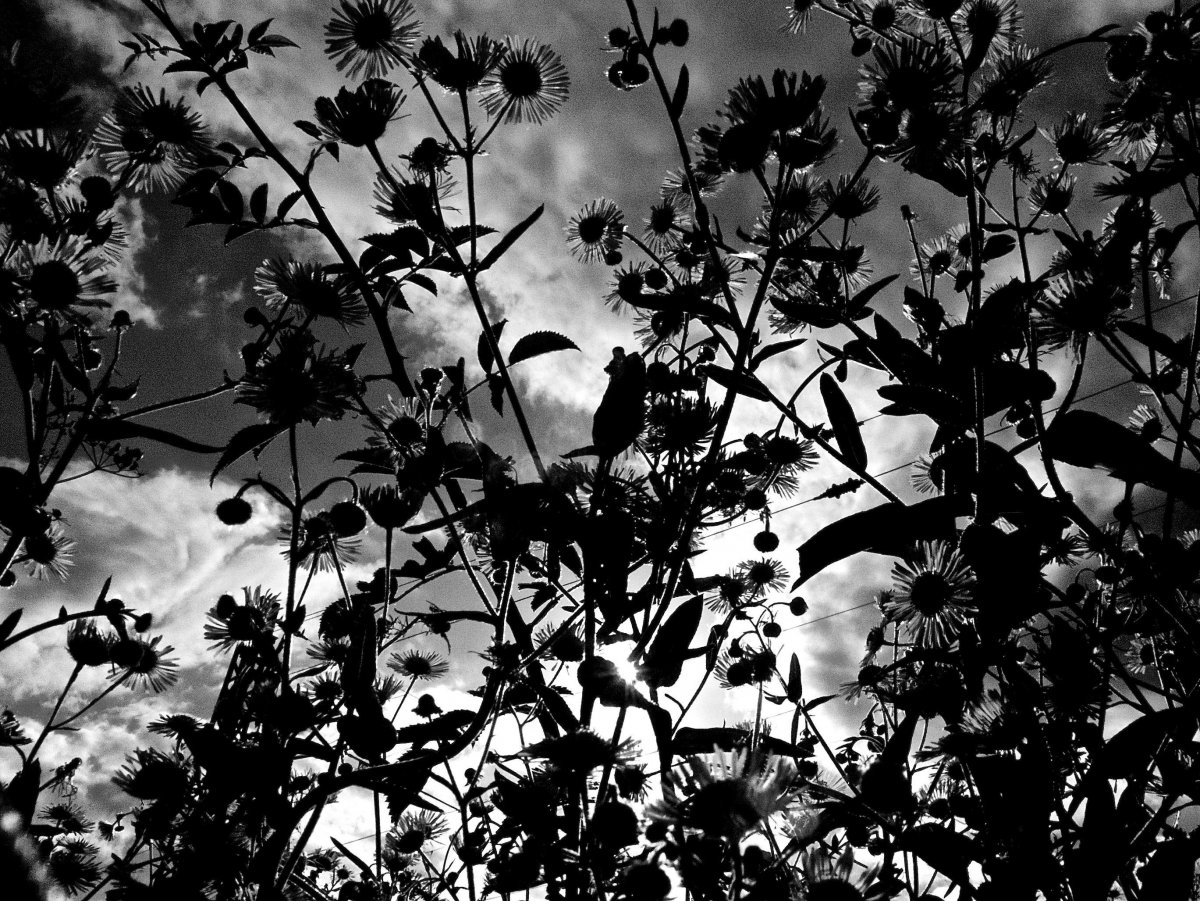 Темный фон Эстетика