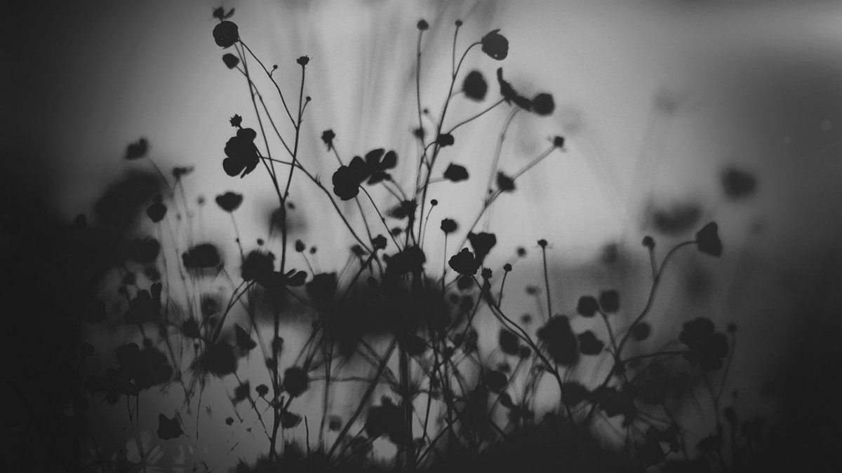 Дерево Минимализм