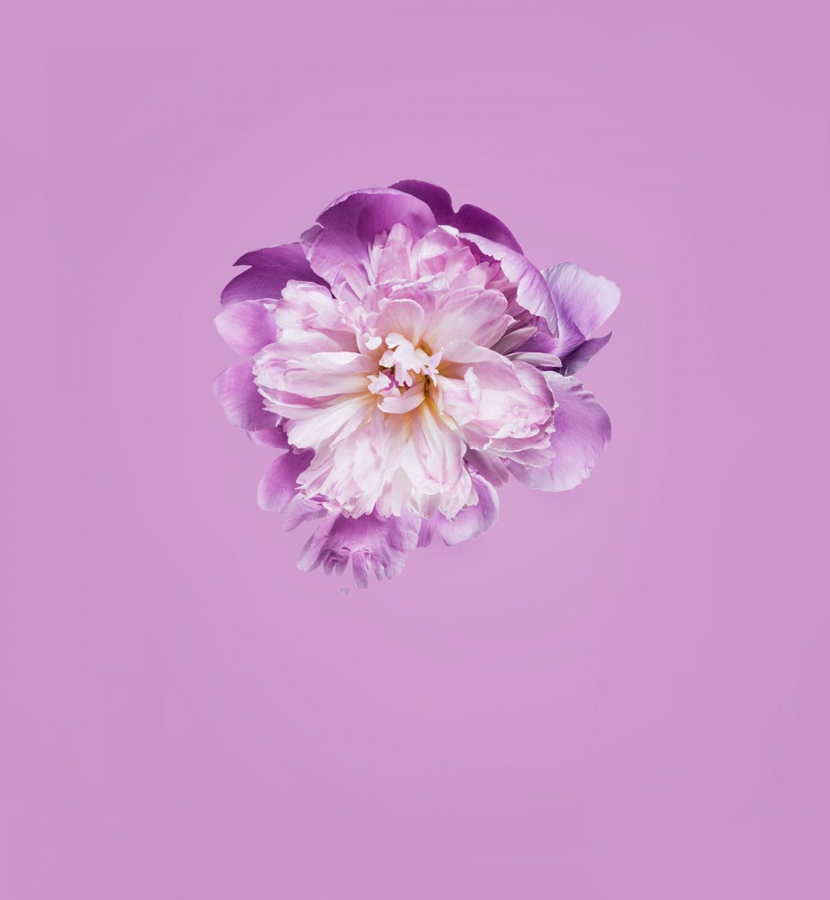 Обои на планшет Huawei