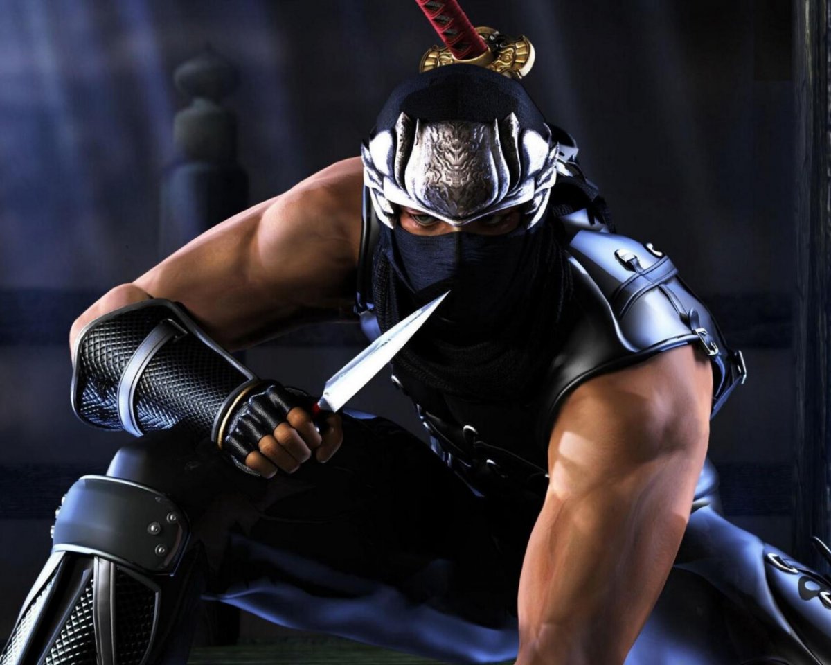 Ниндзя Гайден Блэк